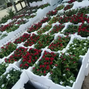 0659 انجاز الظل للمظلات والسواتر | تنسيق حدائق